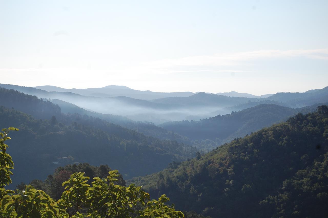 La Vallee De Gaia Bed & Breakfast Saint-Hilaire-de-Lavit ภายนอก รูปภาพ